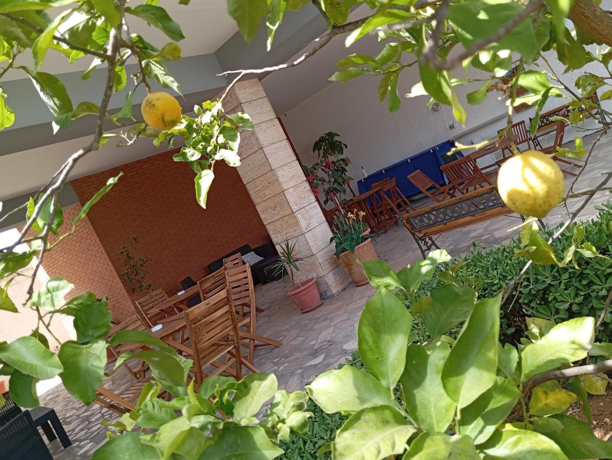 B&B Il Cedro Salve Exterior foto
